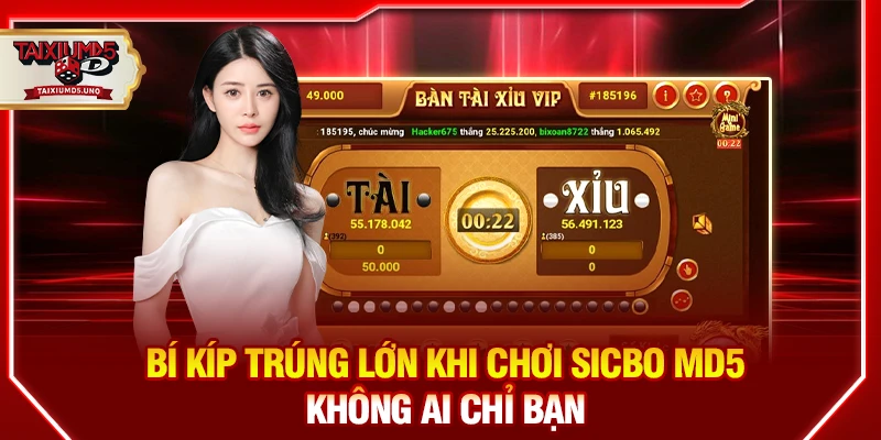 Bí kíp trúng lớn khi chơi Sicbo MD5 không ai chỉ bạn