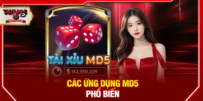 Các ứng dụng MD5 phổ biến