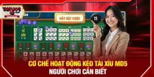 Cơ chế hoạt động kéo tài xỉu MD5 người chơi cần biết