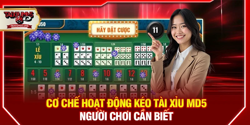 Cơ chế hoạt động kéo tài xỉu MD5 người chơi cần biết