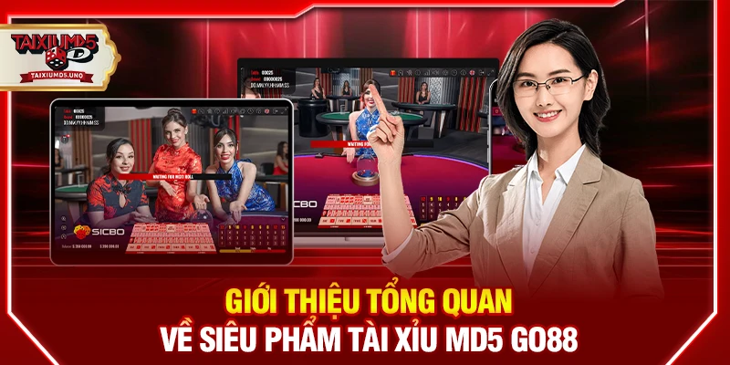 Giới thiệu tổng quan về siêu phẩm tài xỉu MD5 Go88