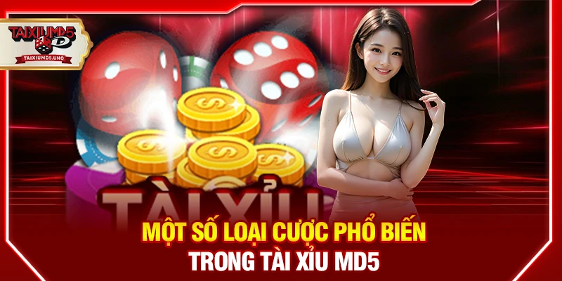 Một số loại cược phổ biến trong Tài Xỉu MD5
