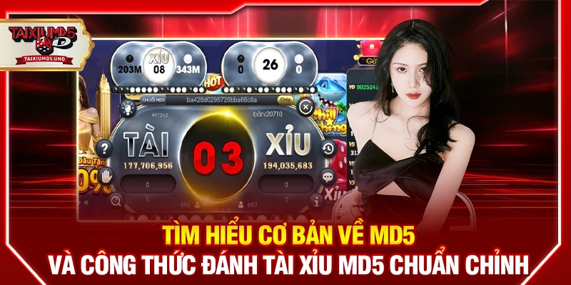 Tìm hiểu cơ bản về MD5 và công thức đánh tài xỉu MD5