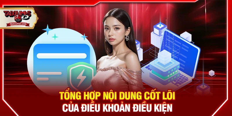Tổng hợp nội dung cốt lõi của điều khoản điều kiện